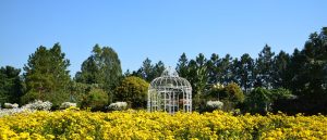 植物園に音声ガイド・スマホ音声ガイドを導入する理由と5つのメリットをご紹介