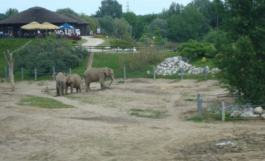 動物園