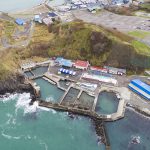 スマホ音声ガイド導入事例　～おたる水族館～