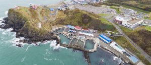 スマホ音声ガイド導入事例　～おたる水族館～