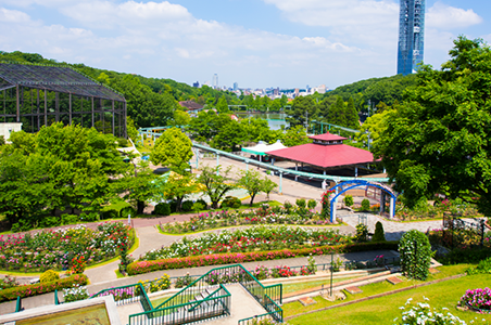 植物園での音声ガイド